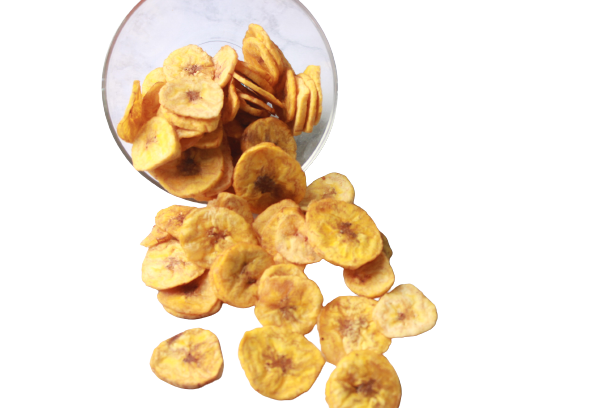 Green Plantain Chips(Lightly Salted) (3.1 oz)